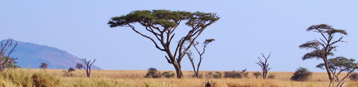 … in der zwischenzeit